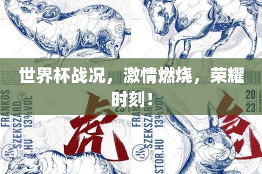 世界杯战况，激情燃烧，荣漯河市盈旭机械设备有限公司耀时刻！