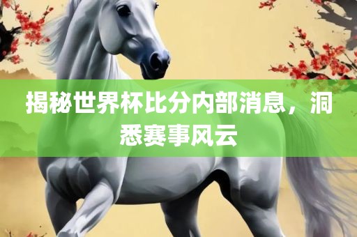 揭秘世界杯比分内部消息，洞悉赛事风云