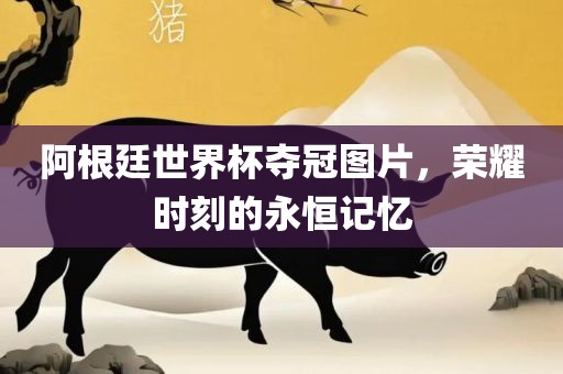 阿根廷世界杯夺冠图片，荣耀时刻的永恒记忆