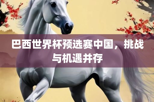 巴西世界杯预选赛中国，挑战与机遇并存