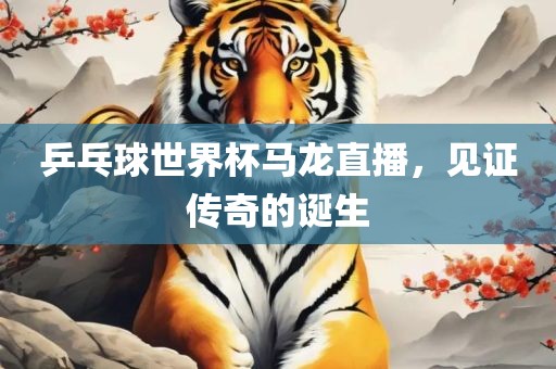 乒乓球世界杯马龙直播，见证传奇的诞生