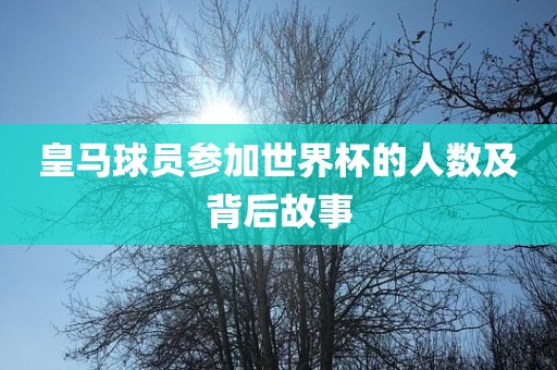 皇马球员参加世界杯的人数及背后故事漯河市盈旭机械设备有限公司