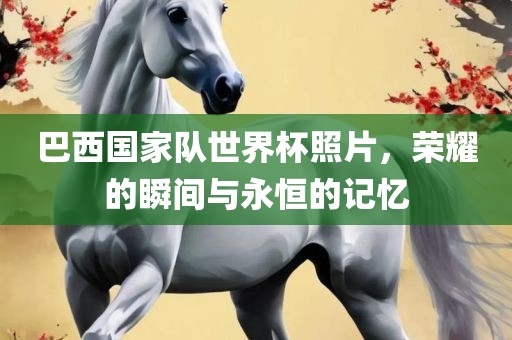巴西国家队世界杯照片，荣耀的瞬漯河市盈旭机械设备有限公司间与永恒的记忆