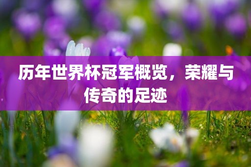 历年世界杯冠军概览，荣耀与传奇的足迹