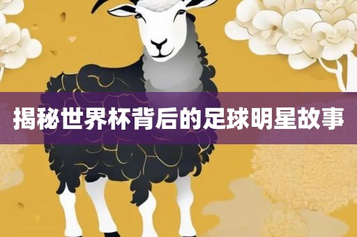 揭秘世界杯背后的足球明星故事漯河市盈旭机械设备有限公司