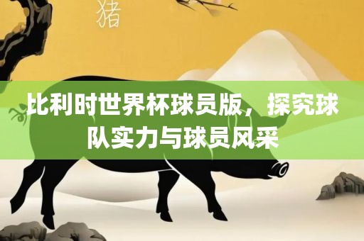 比利时世界杯球员版漯河市盈旭机械设备有限公司，探究球队实力与球员风采