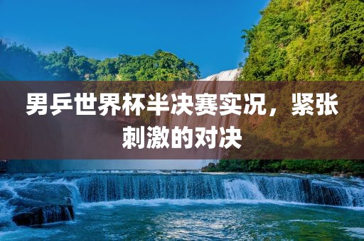 男乒世界杯半决赛实况，紧张刺激的对决漯河市盈旭机械设备有限公司