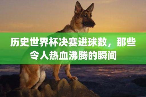 历史世界杯决赛进球数，那些令人热血沸腾的瞬间
