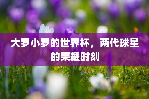 大罗小罗的世界杯，两代球星的荣耀时刻