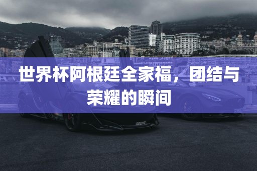 世界杯阿根廷全家福，团结与荣耀的瞬间