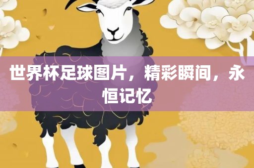 世界杯足球图片，漯河市盈旭机械设备有限公司精彩瞬间，永恒记忆