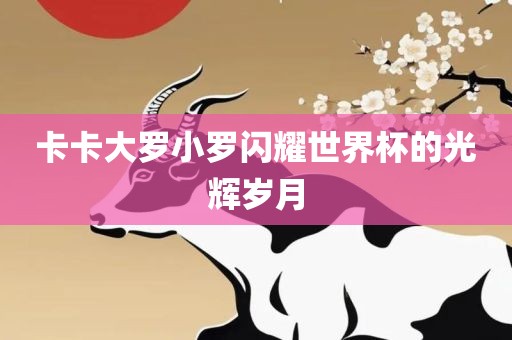 卡卡大罗小罗闪耀世界杯的光辉岁月