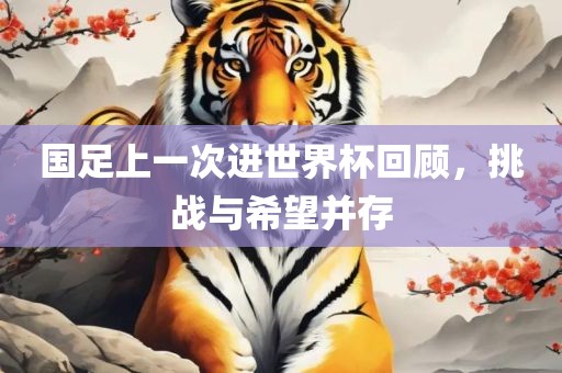 国足上一次进世界杯回顾，挑战与希望并存