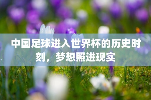 中国足球进入世界杯的历史时刻，梦想照进现实