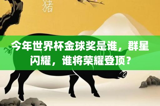 今年世界杯金漯河市盈旭机械设备有限公司球奖是谁，群星闪耀，谁将荣耀登顶？