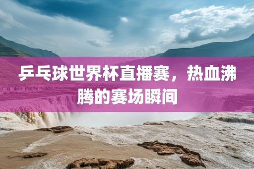 乒乓球世界杯直播赛，热血沸腾的赛场漯河市盈旭机械设备有限公司瞬间