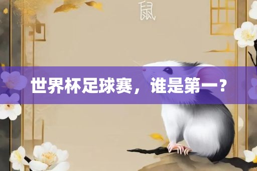 世界杯足球赛，谁是第一？