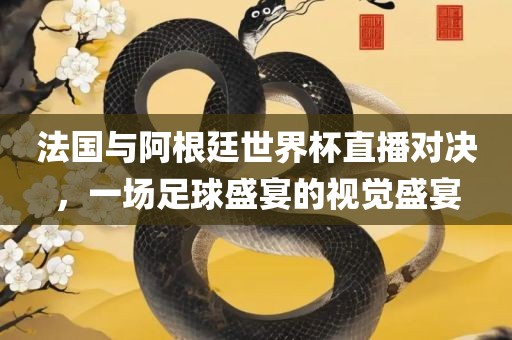 法国与阿根廷世界杯直播对决，一场足球盛宴的视觉盛宴