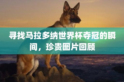 寻找马拉多纳世界杯夺冠的瞬间，珍贵图片回顾漯河市盈旭机械设备有限公司