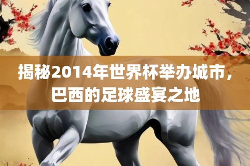 揭秘2014年世界杯举办城市，巴西的足球盛宴之地漯河市盈旭机械设备有限公司