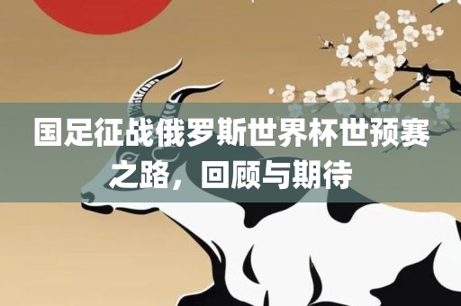 国足征战俄罗斯世界杯世预赛之路，回顾与期待