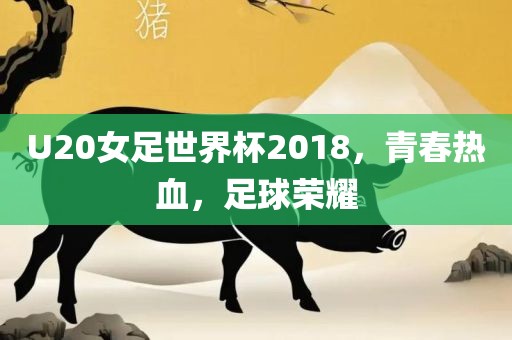 U20女足世界杯2018，青春漯河市盈旭机械设备有限公司热血，足球荣耀