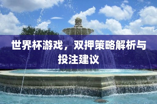 世界杯游戏，双押策略解析与投注建议