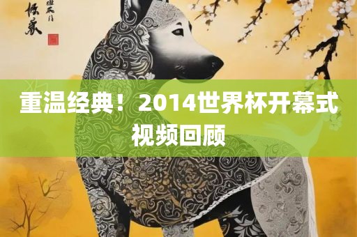 重温经典！2014世界杯开幕式视频回顾