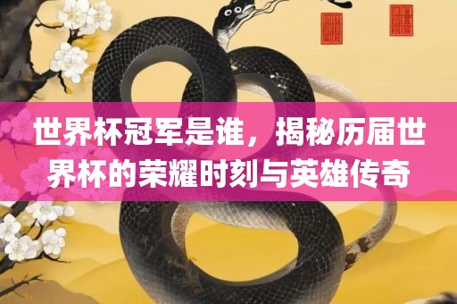 世界杯冠军是谁，揭秘历届世界杯的荣耀时刻与英雄传奇漯河市盈旭机械设备有限公司