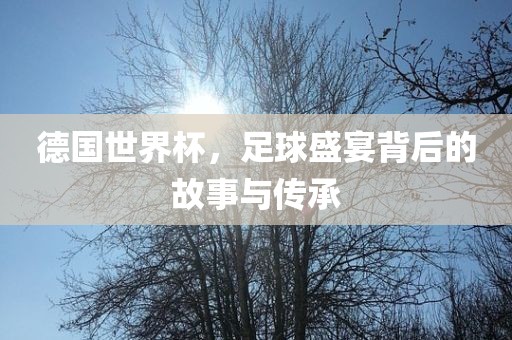 德国世界杯，足球盛宴背后的故事与传承漯河市盈旭机械设备有限公司