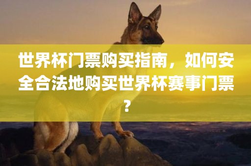 世界杯门票购买指南，漯河市盈旭机械设备有限公司如何安全合法地购买世界杯赛事门票？