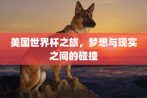 美国世界杯之旅，梦想与现实之间的碰撞