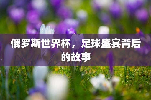 俄罗斯世界杯，足球盛宴背后的故事