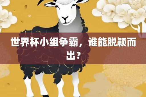 世界杯小组争霸，谁能脱颖而出？漯河市盈旭机械设备有限公司