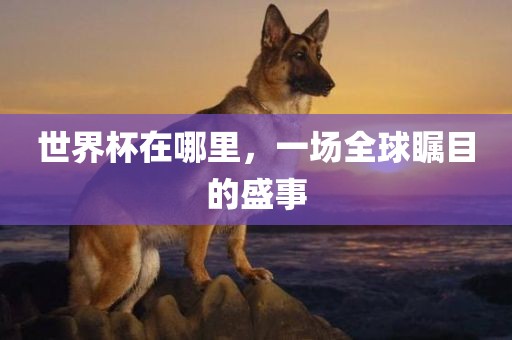 世界杯在哪里，一场全球瞩目的盛事
