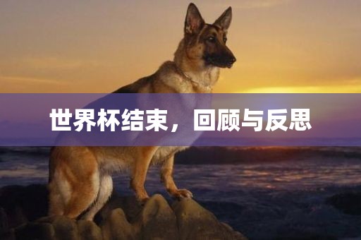 世界杯结束，回顾与反思