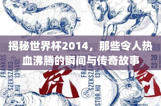 揭秘世界杯2014，那些令人热血沸腾的瞬间与传奇故事