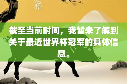 截至当前时间，我暂未了解到关于最近世界杯冠军的具体信息。