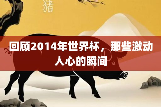 回顾2014年世界杯，那些激动人心的瞬间