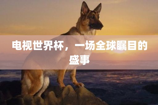电视世界杯，一场全球瞩目的盛事漯河市盈旭机械设备有限公司
