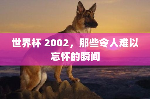 世界杯 2002，那些令人难以忘怀的瞬间