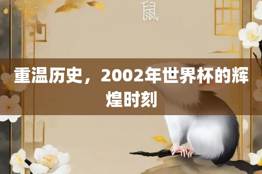 重温历史，2002年世界杯的辉煌时刻