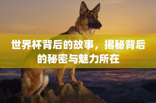 世界杯背后的故事，揭秘背后的秘密与魅力所在漯河市盈旭机械设备有限公司