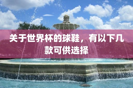 关于世界杯的球鞋，有以下几款可供选择漯河市盈旭机械设备有限公司