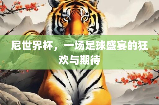 尼世界杯，一场足球盛宴的狂欢与期待