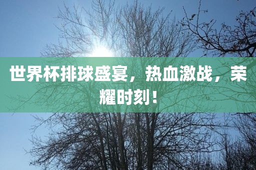世界杯排球盛宴，热血激战，荣耀时刻！