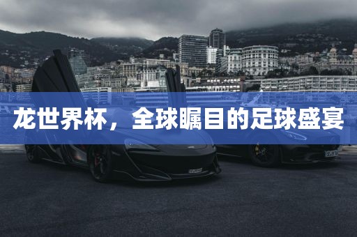 龙世界杯，全球瞩目的足球盛宴