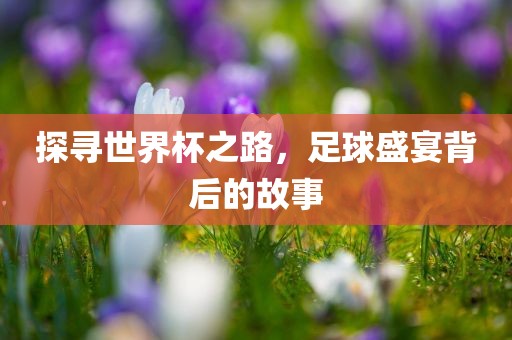 探寻世界杯之路，足球盛宴背后的故事