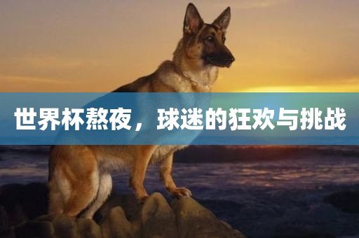 世界杯熬夜，球迷的狂欢与挑战漯河市盈旭机械设备有限公司