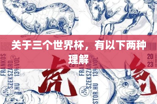 关于三个世界杯，有以下两种理解漯河市盈旭机械设备有限公司